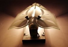 Lain-lain 5 Ella Summer Lesser