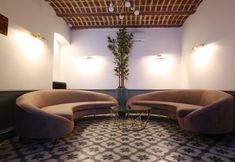 기타 4 Royal Tophane