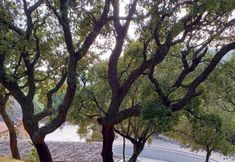 其他 6 Agriturismo Muzzu