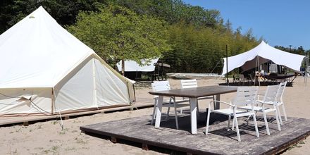 기타 4 Kibotcha - Hostel