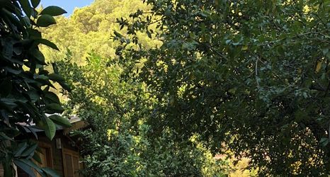 Others 2 Olympos Varuna Pansiyon