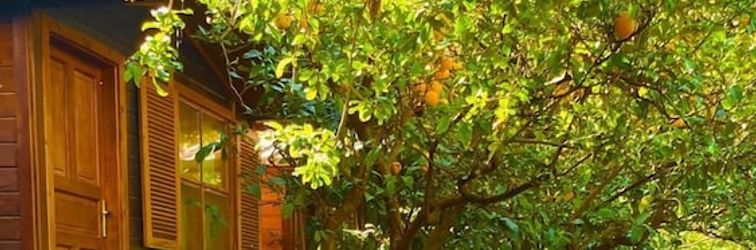 Others Olympos Varuna Pansiyon