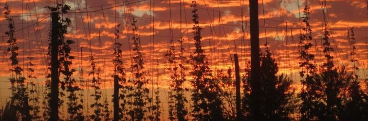 其他 Hopyard View Farm - A Farm Experience in Ashland