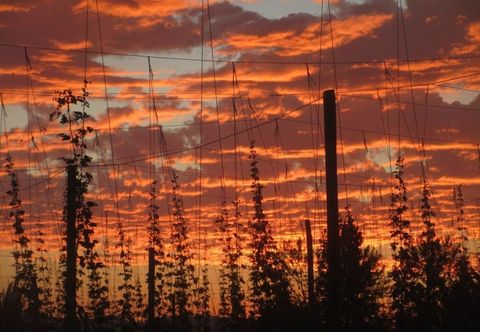 其他 Hopyard View Farm - A Farm Experience in Ashland