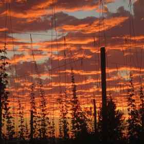 Primary image1霍普雅德景觀農場 - 亞什蘭農場體驗,杰克逊县公寓