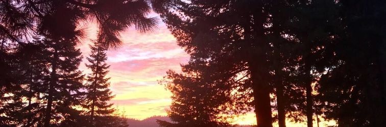 Others Mountain Pine Cabin - Sleeps 6 - Pet Friendly