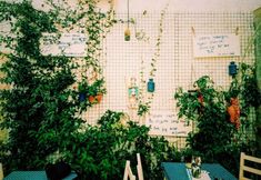 Khác 4 Mavi Ege Butik Otel