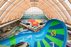 其他 The Kartrite Resort & Indoor Waterpark