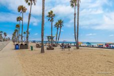 Others Starfish Cove