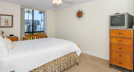 Lain-lain 2 Fun in The Sun