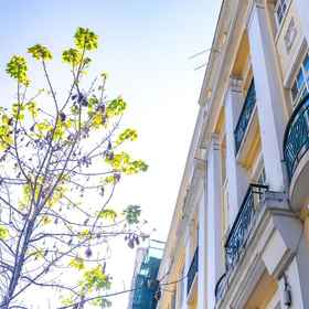 Primary image1里斯本愉悅青年旅舍,里斯本大学飯店