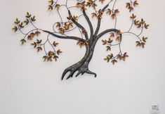 Others 3 Agave Suites