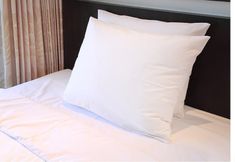 Lain-lain 2 The Rhinos 3