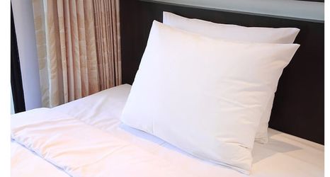 Lain-lain 2 The Rhinos 3