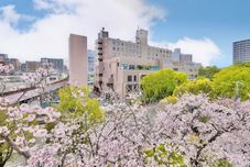 Lainnya MINAMISENRI Crystal Hotel