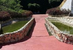 Lain-lain 5 Titus Poison Garden