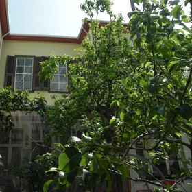 Primary image 1 Lotus Garden Hostel, โรงแรม & ที่พัก Konak