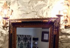 其他 6 The New White Lion