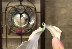 Others 5 B&B Residenza Teatro Antico