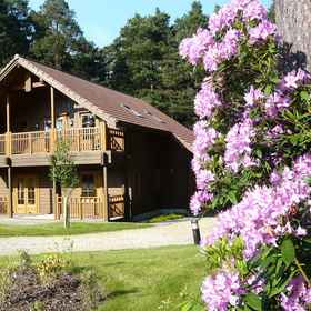 Primary image 1 The Dorset Resort, East Stoke Hotels