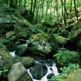 Primary image1豪爾飯店,卢森堡飯店