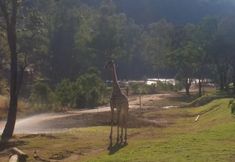 Lainnya 5 Ruah Park Camping & Outdoor