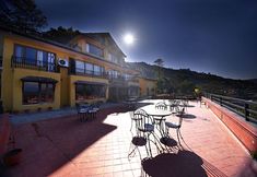 기타 2 The Lapsi Tree