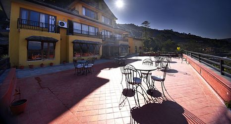 기타 2 The Lapsi Tree