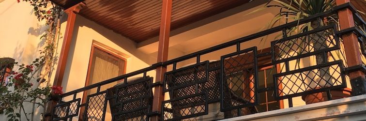 其他 Orange Garden