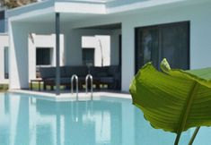 기타 5 Paloma Finesse All Inclusive