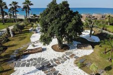 기타 Paloma Finesse All Inclusive