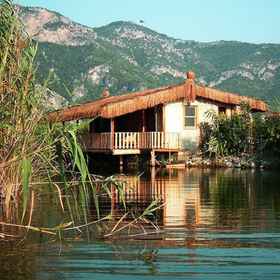 Primary image1亞里卡普金小屋飯店,Karya Villa飯店