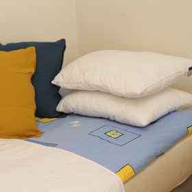 Room1普拉維斯卡大道 270 號飯店,维斯瓦大学飯店