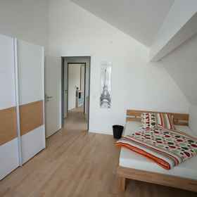 Primary image 1 City Apartment Karlsruhe, Karlsruhe district Apartments