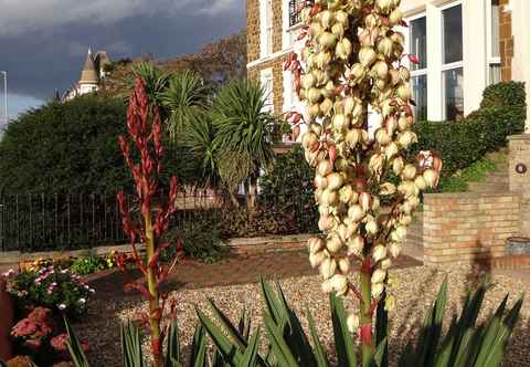 Others The Garden Flat