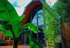 其他 6 Adesa Bungalow Hotel