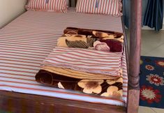 อื่นๆ 3 Angel Motel