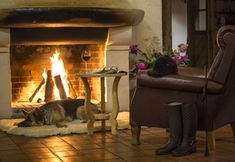 其他 5 Pałac i Folwark Galiny