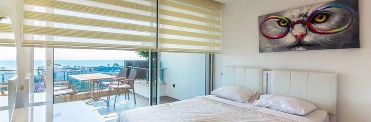 その他 Elite Admiral Premium A1 13