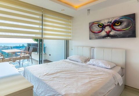 その他 Elite Admiral Premium A1 13