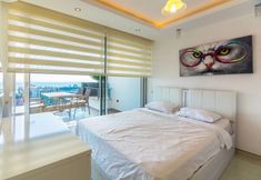 其他 6 Elite Admiral Premium A12 13