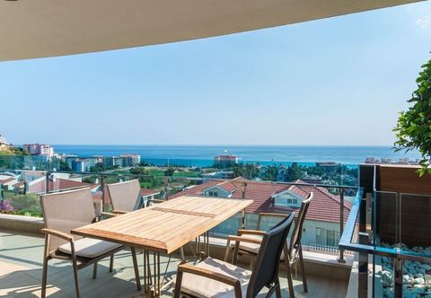 其他 Elite Admiral Premium A12 13