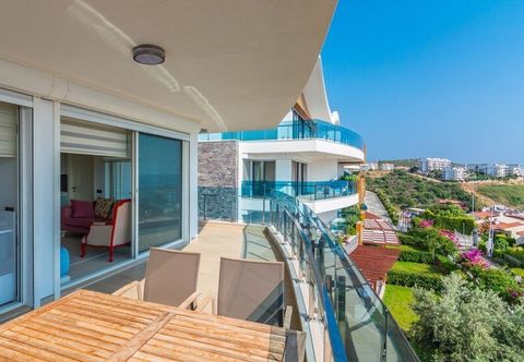 Others Elite Admiral Premium A2 12