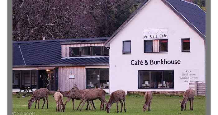 Others An Cala Cafe and Bunkhouse - Hostel