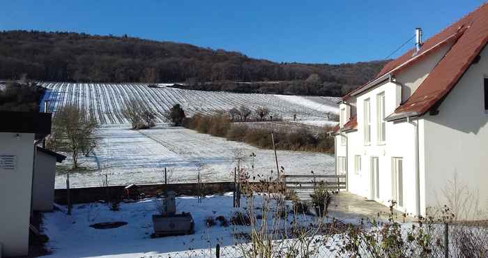 Others Aux vignes