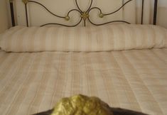 Others 3 Villa Oasis