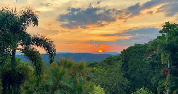 Others Daintree Manor Bed & Breakfast