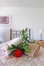 Others 4 Sun Rays Hotel