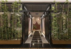 Others 7 Aqua Suit 4