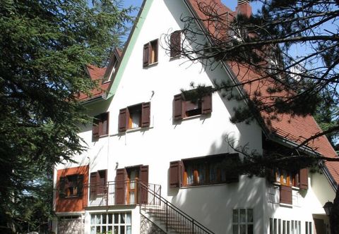 Others Gli Scoiattoli